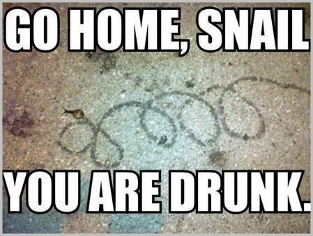 You've Had Enough, Snail