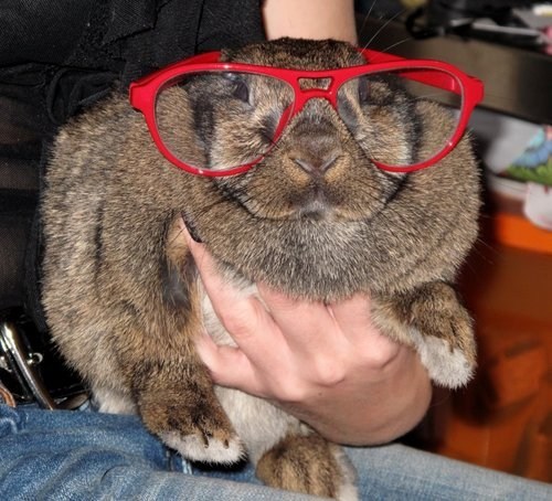 Fashion Statement 