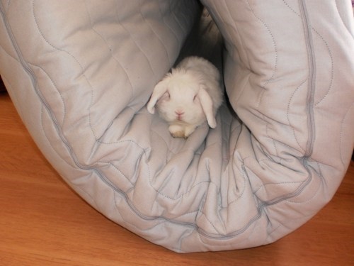 Bunday: Futon 