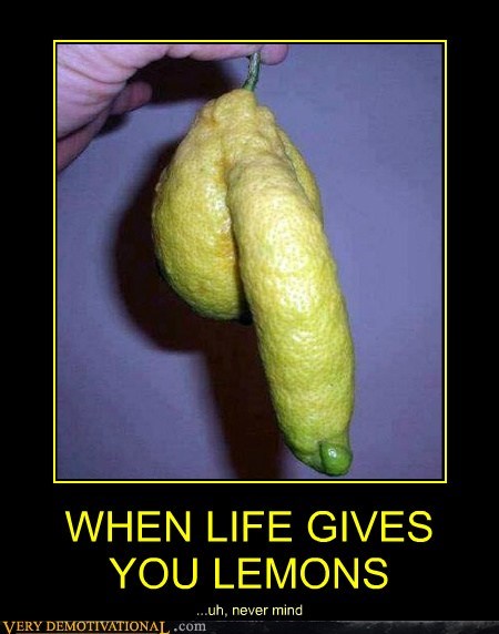 WHEN LIFE GIVES YOU LEMONS
