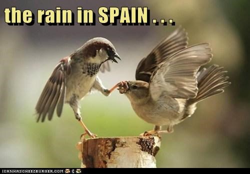 the rain in SPAIN . . .