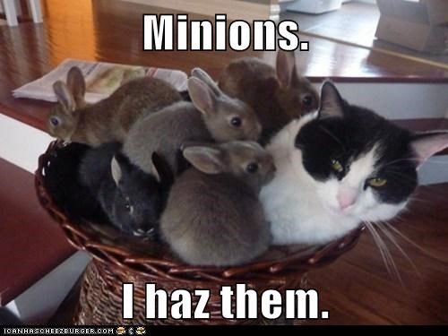 Minions.   I haz them.