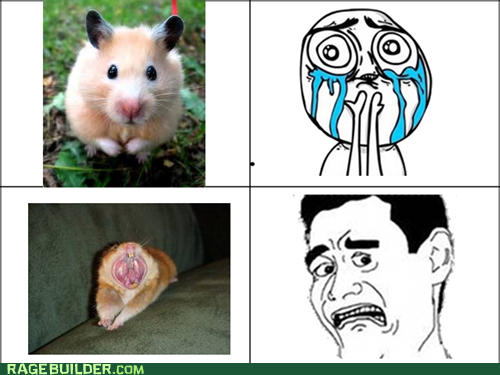 Not Sure If Squee...
