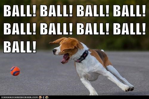 BALL! BALL! BALL! BALL! BALL! BALL! BALL! BALL! BALL!
