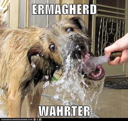 ERMAGHERD  WAHRTER