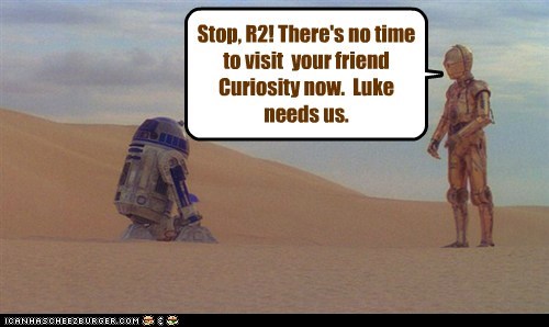 It's the Busy Season for Rebels