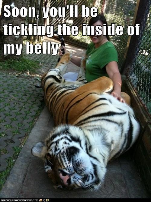 I Prefer Inside Tickles