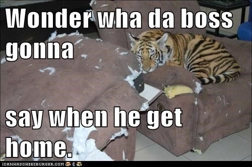Wonder wha da boss gonna  say when he get home.