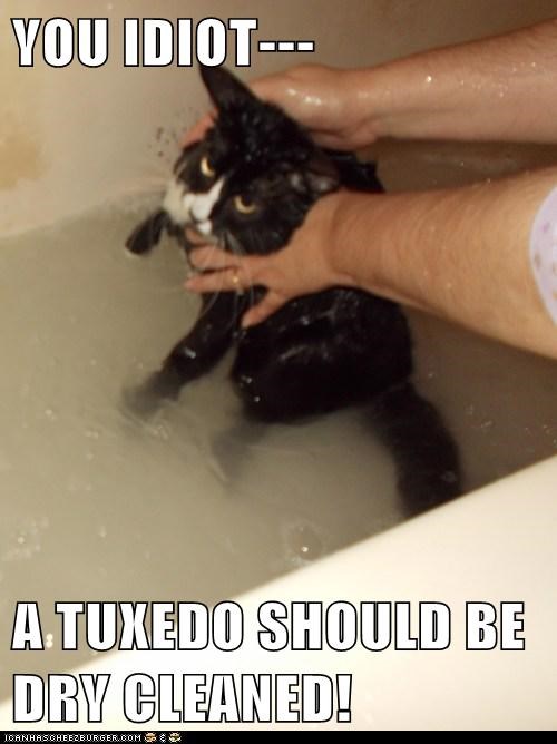 YOU IDIOT