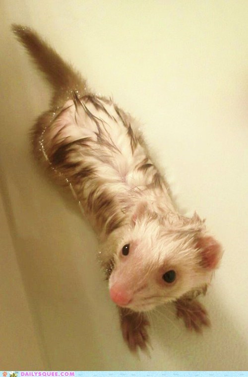 Reader Squee: Bathtimes