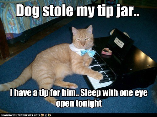 Dog stole my tip jar..