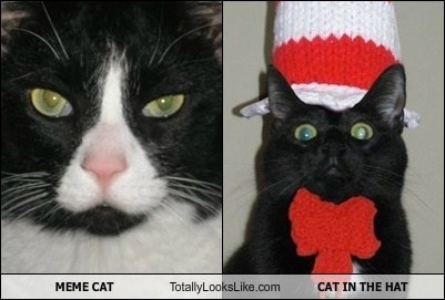 MEME CAT Totally Looks Like CAT IN THE HAT