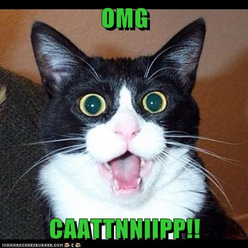 OMG  CAATTNNIIPP!!