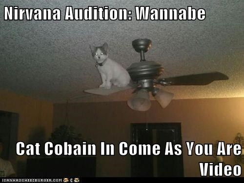 Nirvana Audition