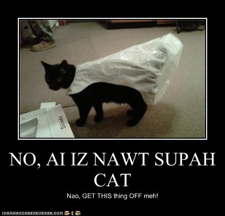 NO, AI IZ NAWT SUPAH CAT