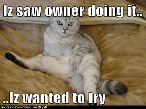 Iz saw owner doing it..  ..Iz wanted to try