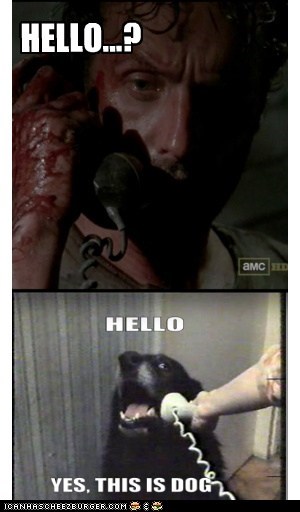 *RING RING* "Hello? Rick Grimes?"