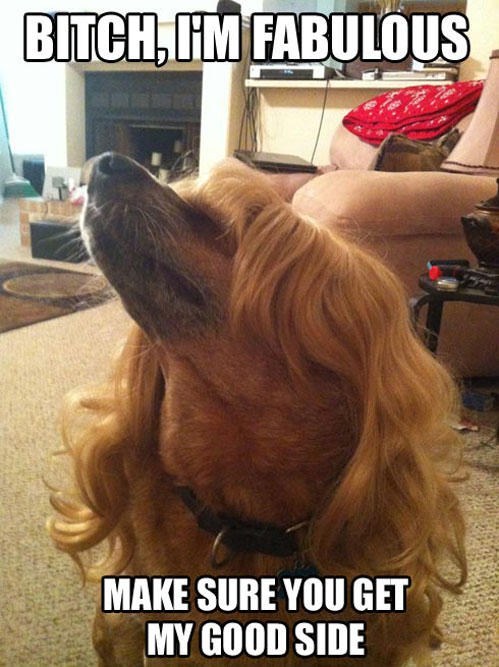 Dayum B*tch! Who Do Your Hair?