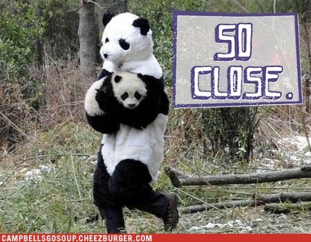 Panda-mom-ium?