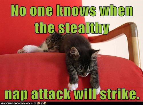 No one knows when the stealthy  nap attack will strike.