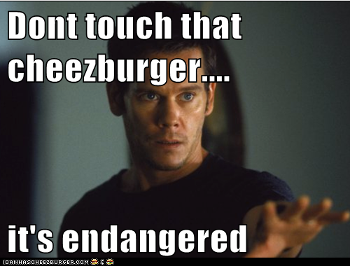 Dont touch that cheezburger....  it's endangered