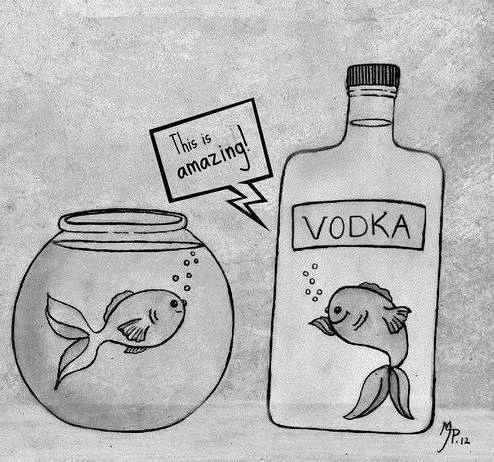 Best Fishbowl EVER