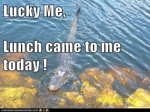Lucky Me, Lunch came to me today !