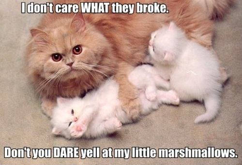 How Dare You Talk to My Children That Way?