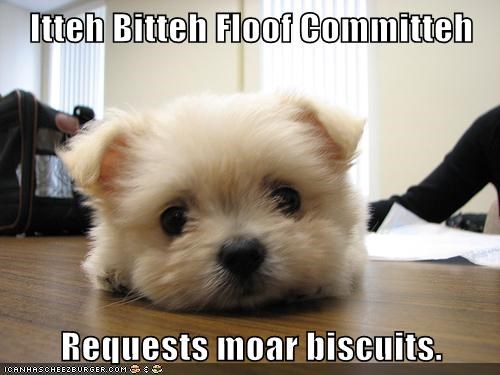 Itteh Bitteh Floof Committeh  Requests moar biscuits.