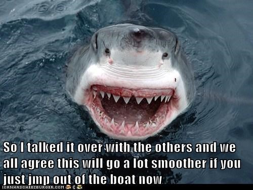 So I talked it over with the others and we all agree this will go a lot smoother if you just jmp out of the boat now