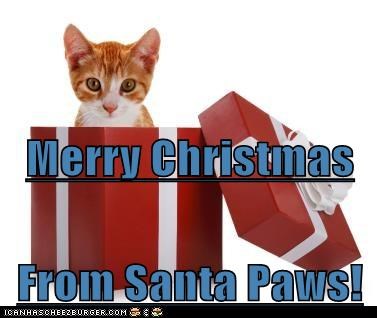 Merry Christmas From Santa Paws!