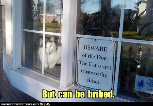 But  can  be  bribed.