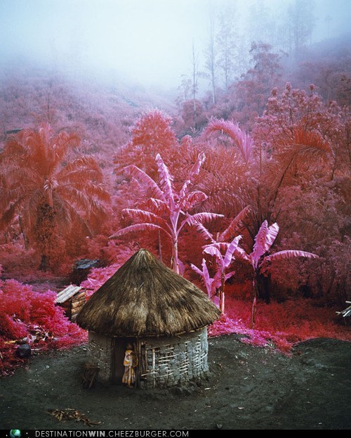 Riveting Pink Infrared Landscapes of Congo