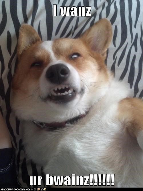 Night of the Living Derp