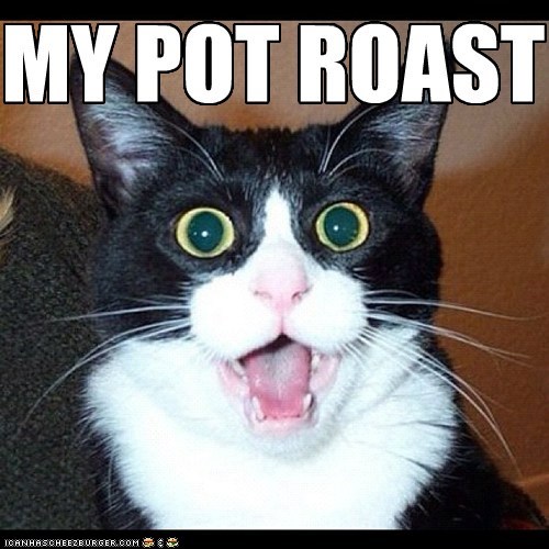 MY POT ROAST