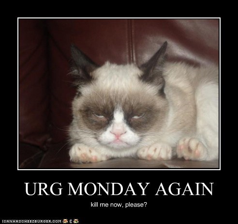 URG MONDAY AGAIN