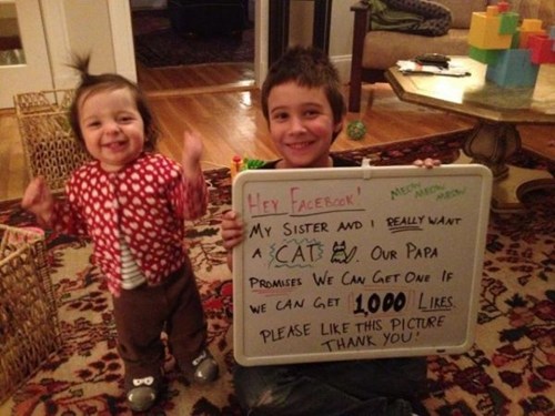 Kids Get New Kitty after Receiving More Than 100,000 Facebook "Likes"