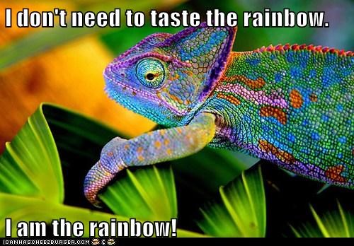 I don't need to taste the rainbow.  I am the rainbow!