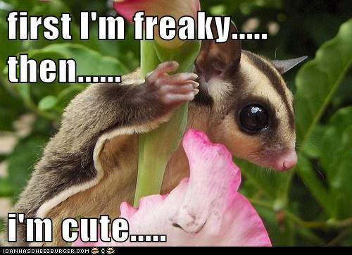 first I'm freaky..... then......  i'm cute.....