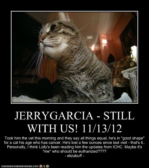 JERRYGARCIA - STILL WITH US! 11/13/12