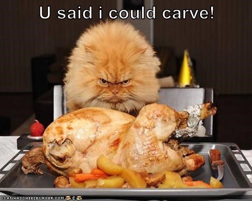 U said i could carve!