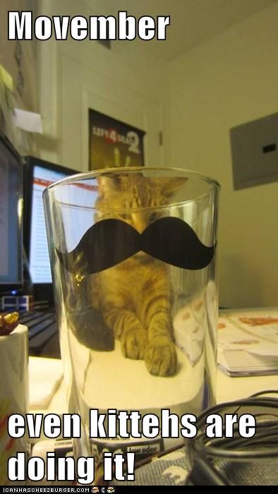 Movember  