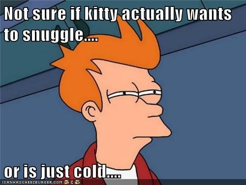 Not sure if kitty actually wants to snuggle....  or is just cold....