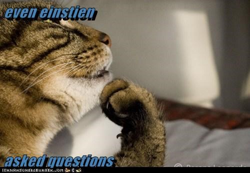even einstien   asked questions