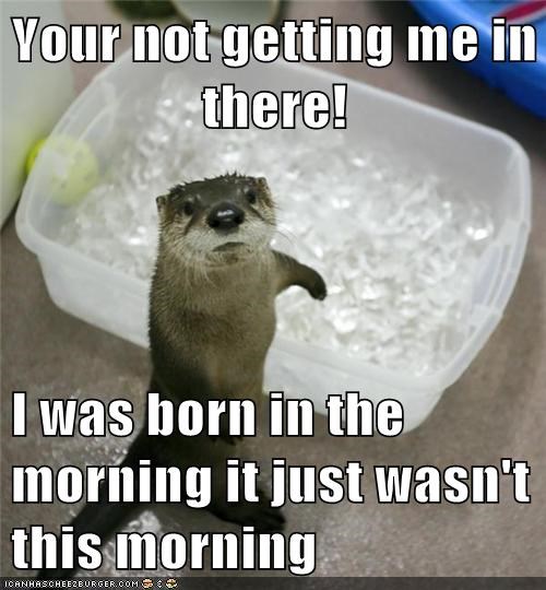Your not getting me in there!  I was born in the morning it just wasn't this morning