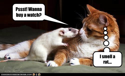Pssst! Wanna buy a watch?