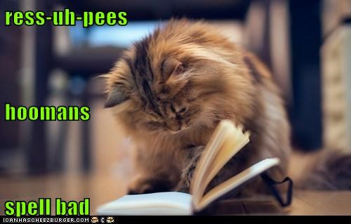 ress-uh-pees hoomans spell bad