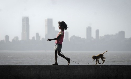 A Girl and Her Pet