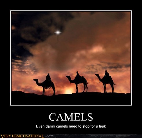 CAMELS