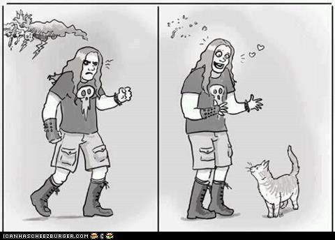 We all love cats. 